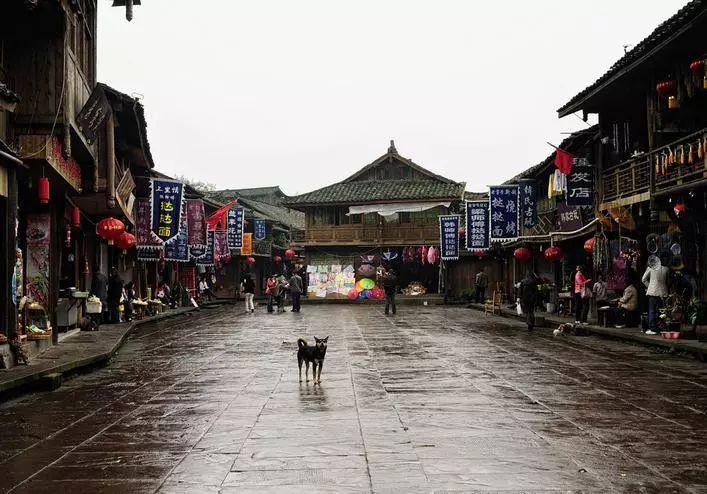 首迎春运，沪宁沿江高铁已发送旅客21万人次