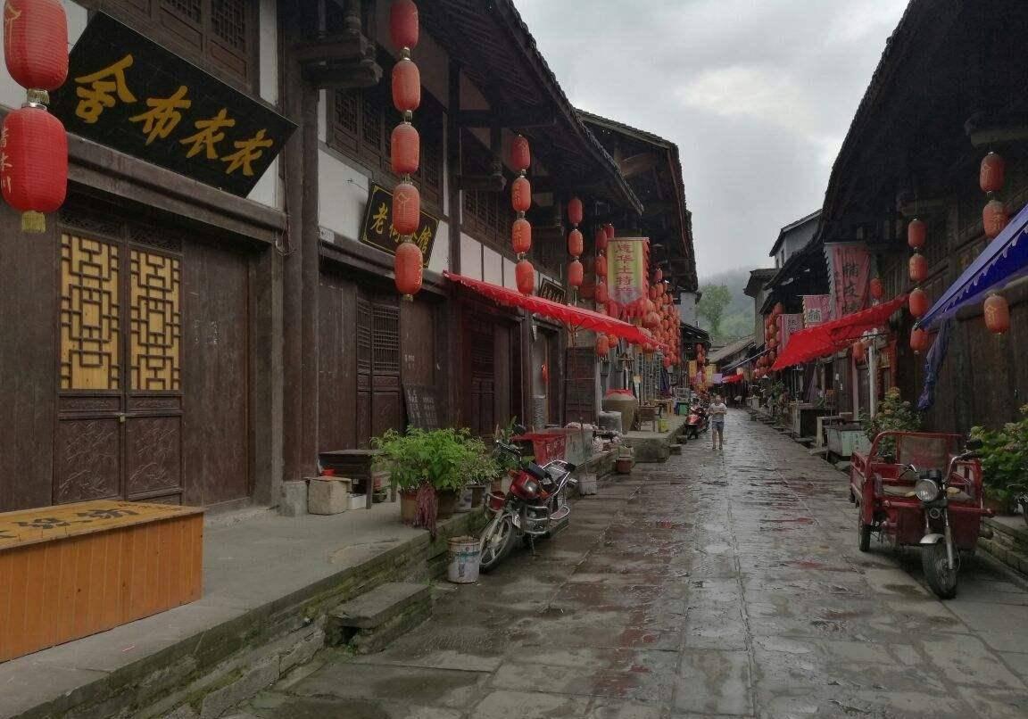 春雨直播app