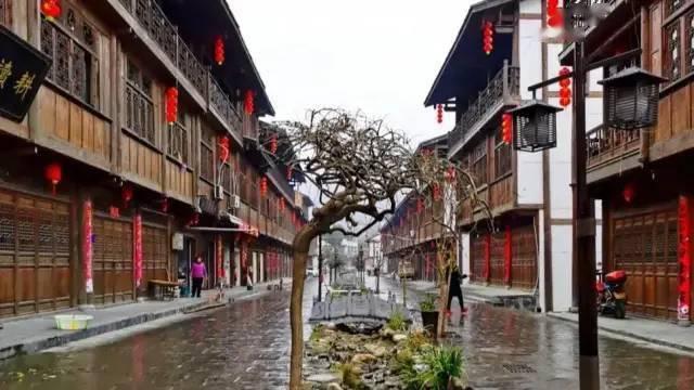 【两会·黔言】霍雨佳委员:强化智算能力建设 大力发展人工智能