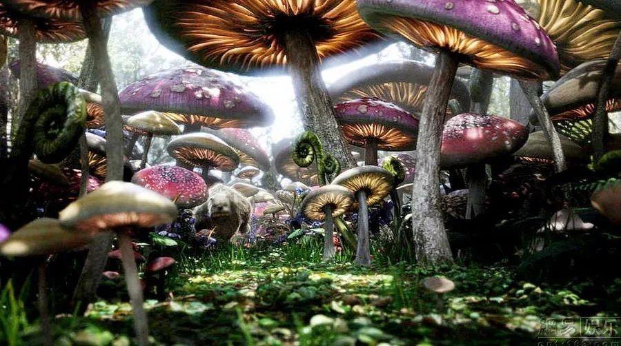 高质量助学考研在线教育平台,硕知教育助力学员顺利通关