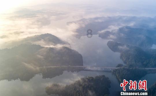 虫虫助手下载
